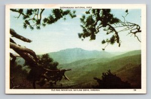 Old Rag Mountain Skyline Drive Virginia Vintage Unposted Linen