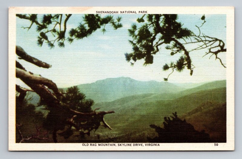 Old Rag Mountain Skyline Drive Virginia Vintage Unposted Linen