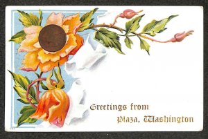 GREETINGS FROM PLAZA WASHINGTON '99 INDIAN HEAD PENNY COIN NOVELTY POSTCARD 1909