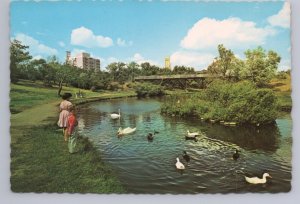 Children, Ducks, Swan, Crescent Park, Moose Jaw, Saskatchewan, Chrome Postcard