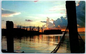 M-65772 Evening In The Harbor Of Key West Florida