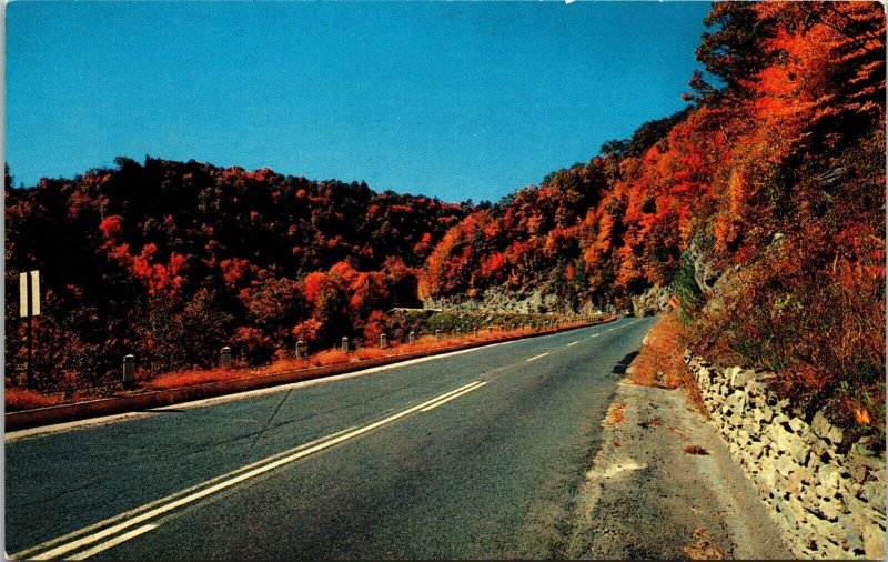 Florida Notch Dead Mans Curve Mohawk Trail Massachusetts Chrome Postcard 