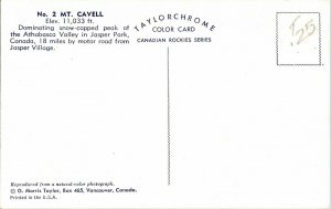 Mt Cavell Athabasca Valley Jasper Park Taylorchrome Postcard Canadian Series Vtg 