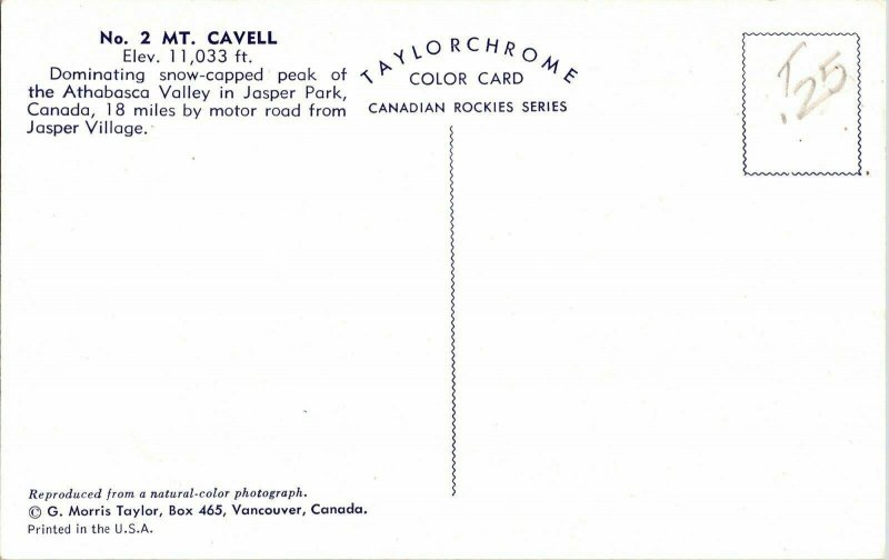 Mt Cavell Athabasca Valley Jasper Park Taylorchrome Postcard Canadian Series Vtg 