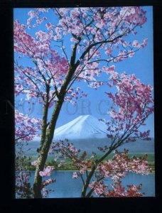 210157 JAPAN Spring near Fuji mountain Cherry blossoms