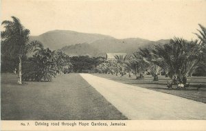 Vintage Postcard Driving Road Through Hope Gardens Jamaica Caribbean # 7