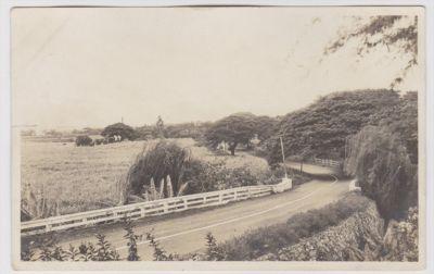 Hawaii Early 1900's Real Photo Postcard RPPC