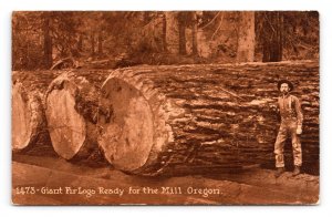 Giant Fir Logs Ready For Mill Lumber Camp Oregon State UNP Sepia DB Postcard Q6