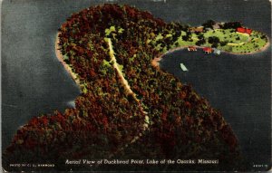 Vtg 1940s Aerial View of Duckhead Point Lake of the Ozarks Missouri MO Postcard