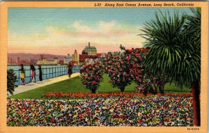 Long Beach Along East Ocean Avenue Ocean Flowers California Vintage Postcard