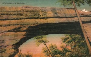 Slade KY-Kentucky, Rock Natural Bridge Formation Landscape, Vintage Postcard