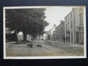 Wales Carmarthenshire LAUGHARNE King Street c1905 RP Postcard