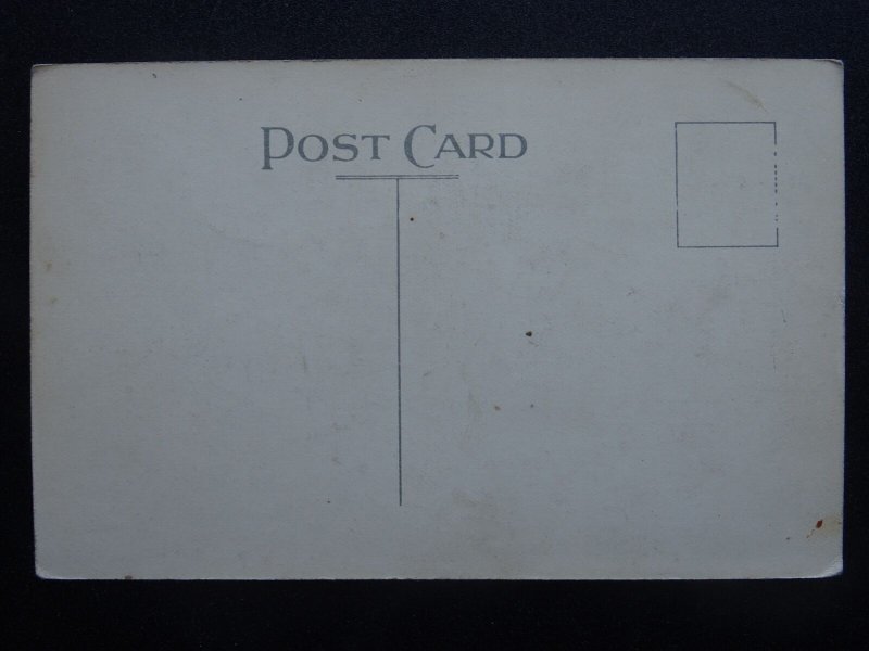 Surrey North Downs RAMMOOR & BOXHILL from Leith Hill Tower - Old Postcard