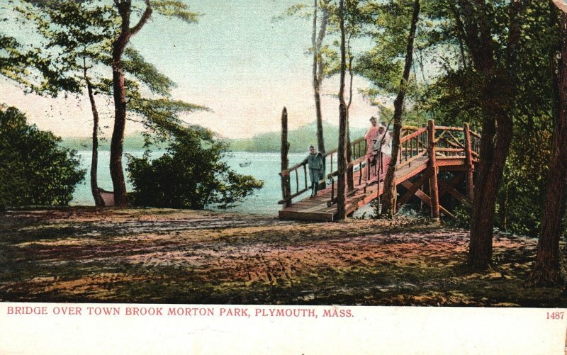 Vintage Postcard Bridge Over Town Brook Morton Park Plymouth Massachusetts MA