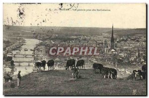 Old Postcard Rouen Vue Generale Jack Cote Ste Catherine Cows