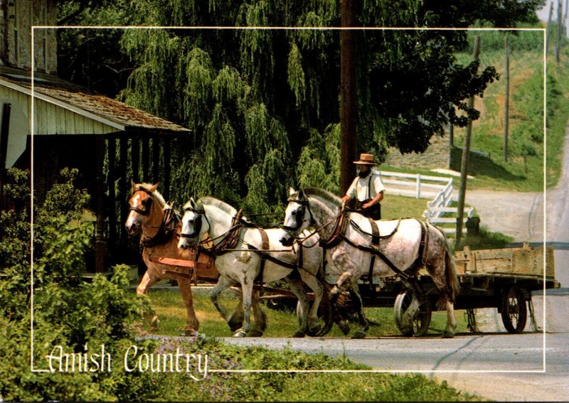 Pennsylvania Amish Country Greetings Amish Horse Drawn Wagon