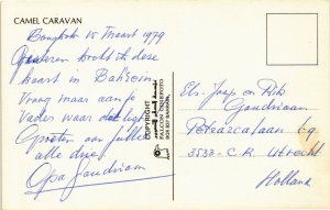 PC CPA BAHRAIN, BAHREIN, CAMEL CARAVAN, Modern Postcard (B3760)