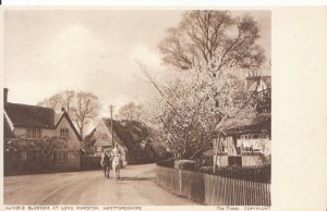 Hertfordshire Postcard - Almond Blossom at Long Marston - Ref 3287A