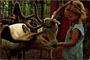 Great Adventure Park Jackson NJ, Happy Feeling c1974 Postcard M19