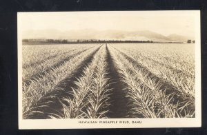 RPPC HAWAIIAN PINEAPPLE FIELD OAHU HAWAII VINTAGE REAL PHOTO POSTCARD