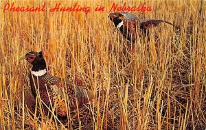 Pheasant Hunting View Images 