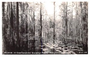 Okefenokee Swamp Park - Waycross, Georgia GA  