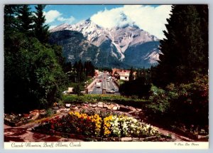 Alpine Gardens, Banff Avenue & Cascade Mountain Banff AB, Don Harmon Postcard #1