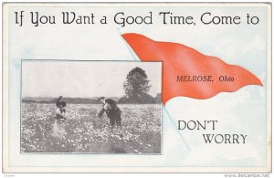 Couple Picking Up Sunflowers. MELROSE, Ohio, 1910-1920s