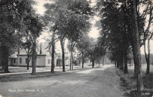 Summit New Jersey Maple Street Vintage Postcard AA8630