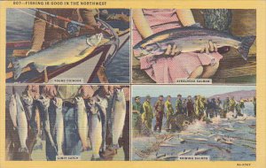 Fishing Multi View Days Catch Seining Salmon 1946 Curteich