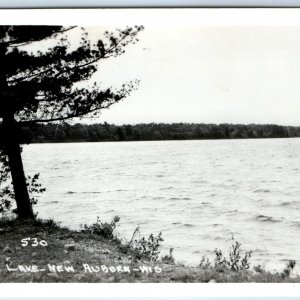 c1940s New Auburn, Wis RPPC Round Lake View Evergreen Tree Real Photo PC WI A149