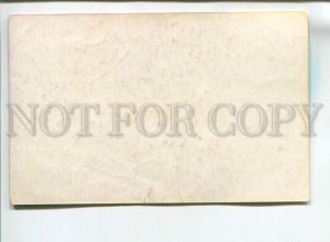 181764 spitz by Glikman old postcard