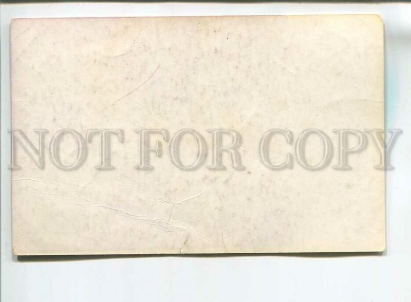 181764 spitz by Glikman old postcard