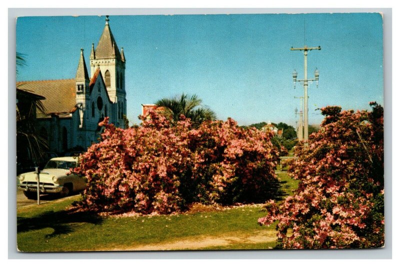 Vintage 1960's Postcard St. Michael Church Palafox St. Pensacola Florida