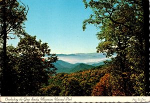Great Smoky Mountains National Park Breathtaking Scene