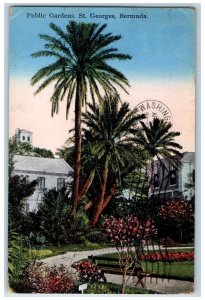 1936 Public Gardens Park Tree Nature Scene St. George Bermuda Vintage Postcard 