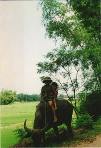 CPM Que Huong - A la Haie de Bambou de Village VIETNAM (1068885)