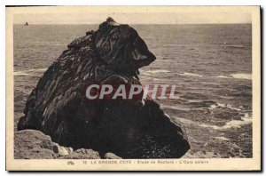 Postcard Old Grand Riviera Rocks Study Polar Bear