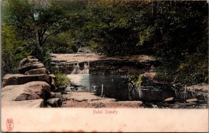 South Africa Natal Scenery Vintage Postcard C155