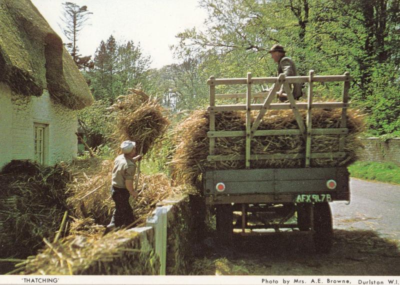 Thatching At Dorset Womens Institute Postcard