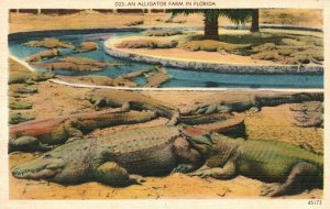 Vintage Postcard An Alligator Farm In Florida FL