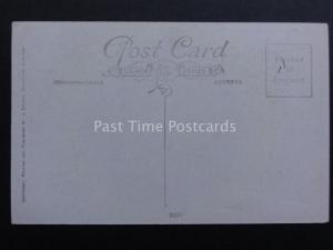 Hearty Greetings for Christmas and the New Year - Old Postcard by J.Salmon 3498