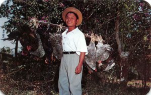 Panama  CHICKEN VENDOR  Man Carrying Chickens On Pole To Market ca1950s Postcard