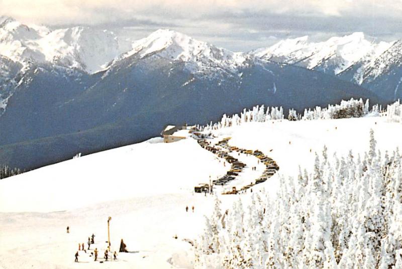 Hurricane Ridge - Olympia, Washington