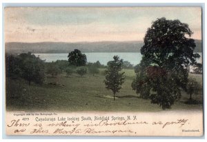 c1905 Canadarago Lake Looking South Richfield Springs New York Vintage Postcard