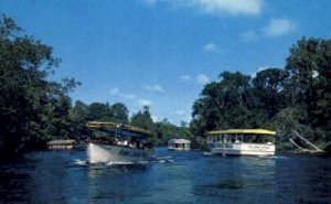 Sightseeing Boats - Silver Springs, Florida FL