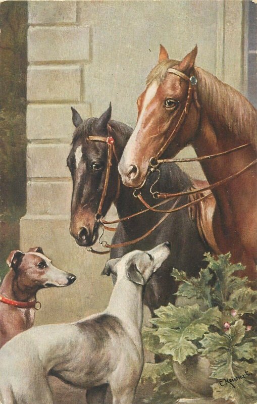 Horses & dogs signed C. Reichert early postcard