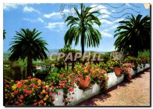 Postcard Modern French Riviera and Provence Its exotic vegetation