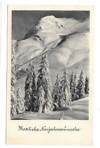 RPPC Herrliche Neujahrswunsche Austria 1953 New Years Postcard Snowy Mountain
