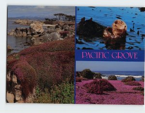 Postcard Pacific Grove, California